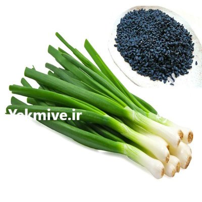 10 بذر پیازچه با عالی ترین قیمت در تهران در گروه خرید فروش بذر - انواع محصول کشاورزی گوجه کتان میوه درخت در یکمیوه -عکس1