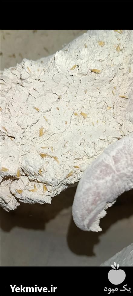 فروش خوراک دام سبک کنستانتره پرواری در تهران در گروه خوراک دام و طیور - پرواری شیری علوفه یونجه در یکمیوه -عکس1