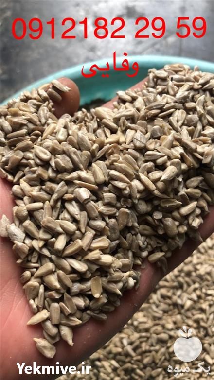 فروش مغز تخمه آفتابگردان در تهران در گروه خرید فروش عمده آفتابگردان - تخمه خوی دیم گل در یکمیوه -عکس1