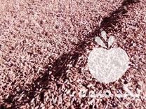 فروش هسته خرما با رطوبت بسیار پایین در سمنان در گروه خوراک دام و طیور - پرواری شیری علوفه یونجه در یکمیوه -عکس1