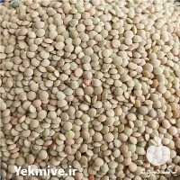 فروش پخش عدس اردبیل و عرضه حبوبات عدس در گروه خرید فروش عمده نخود - فرنگی خام سبز فروش عمده در یکمیوه