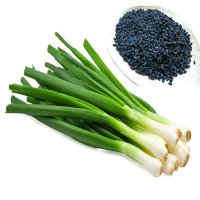 10 بذر پیازچه با عالی ترین قیمت در تهران در گروه خرید فروش بذر - انواع محصول کشاورزی گوجه کتان میوه درخت در یکمیوه