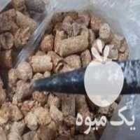 فروش کنجاله سویا پلیت در بجنورد در گروه خرید فروش عمده سویا - خوراکی تیم اسپانیول روغن در یکمیوه