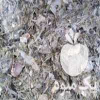 فروش علوفه ذرت فله و بسته بندی در ملایر در گروه خوراک دام و طیور - پرواری شیری علوفه یونجه در یکمیوه