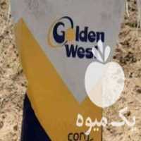 بذر پنبه لیدر گلدن و ست در کرج در گروه خرید و فروش بذر پنبه در یکمیوه