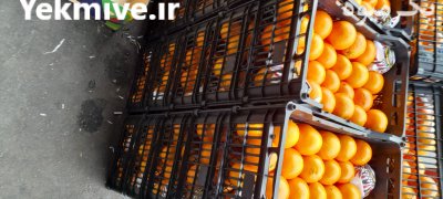 بارفروشی محمدیانی در تبریز در آذربایجان شرقی در گروه حق العمل کاری محصولات کشاورزی در یکمیوه -عکس1