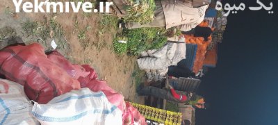 بارفروشی محمدیانی در تبریز در آذربایجان شرقی در گروه حق العمل کاری محصولات کشاورزی در یکمیوه -عکس2
