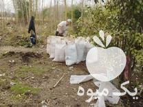 فروش کود حیوانی برای هفت سال قبل در آستانه اشرفیه در گروه خرید فروش کود و مواد شیمیایی - اوره پتاس مرغی کمپوست آهن در یکمیوه -عکس1