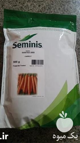 فروش بذر هویج سمینیس در گروه خرید فروش بذر - انواع محصول کشاورزی گوجه کتان میوه درخت در یکمیوه -عکس1