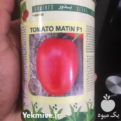 قیمت خرید عرضه گوجه فرنگی متین با قیمت مناسب در بوشهر در گروه خرید فروش بذر - انواع محصول کشاورزی گوجه کتان میوه درخت در یکمیوه -عکس1