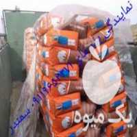 فروش بذر پنبه مای ولیدر در علی آباد در گروه خرید فروش بذر - انواع محصول کشاورزی گوجه کتان میوه درخت در یکمیوه