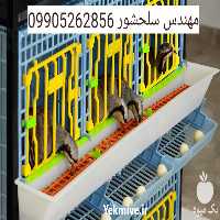 فروش تخم کبک خوراکی در اصفهان در گروه انواع تخم ها - مرغ بوقلمون پرنده عمده کشاورزی در یکمیوه