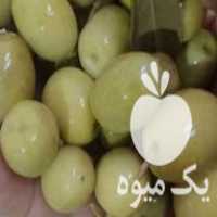 فروش زیتون و روغن زیتون طارم در گروه انواع روغن - آفتابگردان کنجد سویا در یکمیوه