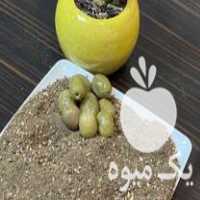 فروش کنجاله هسته و گوشته زیتون در کرج در گروه خوراک دام و طیور - پرواری شیری علوفه یونجه در یکمیوه