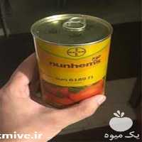 فروش بذر گوجه فرنگی سانسید در گروه خرید فروش بذر - انواع محصول کشاورزی گوجه کتان میوه درخت در یکمیوه