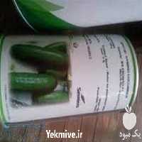 قیمت خرید بذر خیار رویال در گروه خرید فروش بذر - انواع محصول کشاورزی گوجه کتان میوه درخت در یکمیوه