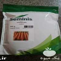 فروش بذر هویج سمینیس در گروه خرید فروش بذر - انواع محصول کشاورزی گوجه کتان میوه درخت در یکمیوه