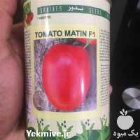 قیمت خرید عرضه گوجه فرنگی متین با قیمت مناسب در بوشهر در گروه خرید فروش بذر - انواع محصول کشاورزی گوجه کتان میوه درخت در یکمیوه