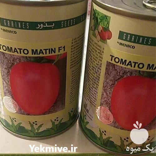 فروش بذر گوجه فرنگی متین زیر قیمت در گروه خرید فروش بذر - انواع محصول کشاورزی گوجه کتان میوه درخت در یکمیوه -عکس1