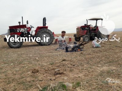 فروش تراکتور 800 در گروه خرید فروش ماشین آلات کشاورزی - تراکتور تیلر کمباین مدرن در یکمیوه -عکس1