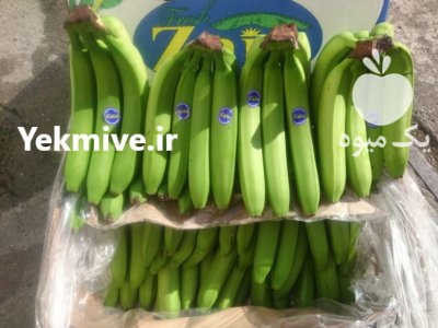 موز پاکستانی در بندرعباس در گروه خرید فروش عمده موز - زرد سبز پاکستان چیکیتا اکوادوور در یکمیوه -عکس1