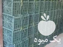 قیمت خرید سبد سیب 2 رج 3رج در مراغه در گروه خرید فروش انواع سبد - میوه پلاستیکی چوبی گل در یکمیوه -عکس1