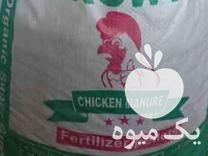 فروش کود آلی کامل مرغی در قدس در گروه خرید فروش کود و مواد شیمیایی - اوره پتاس مرغی کمپوست آهن در یکمیوه -عکس1