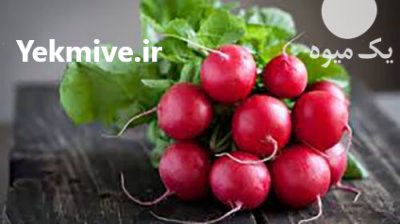 فروش بهترین بذر تربچه در گروه خرید فروش بذر - انواع محصول کشاورزی گوجه کتان میوه درخت در یکمیوه -عکس1