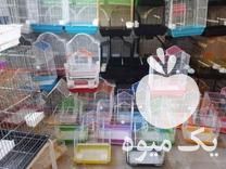 فروش انواع قفس پرنده در قزوین در گروه تجهیزات دام و طیور - خرید فروش نو دسته دوم در یکمیوه -عکس1