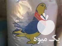 فروش دان مرغ و کبوتر و طیور در گروه خوراک دام و طیور - پرواری شیری علوفه یونجه در یکمیوه -عکس1