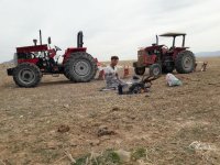 فروش تراکتور 800 در گروه خرید فروش ماشین آلات کشاورزی - تراکتور تیلر کمباین مدرن در یکمیوه