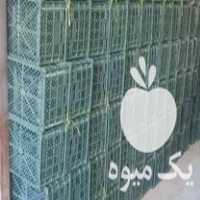 قیمت خرید سبد سیب 2 رج 3رج در مراغه در گروه خرید فروش انواع سبد - میوه پلاستیکی چوبی گل در یکمیوه