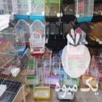 فروش انواع قفس پرنده در قزوین در گروه تجهیزات دام و طیور - خرید فروش نو دسته دوم در یکمیوه