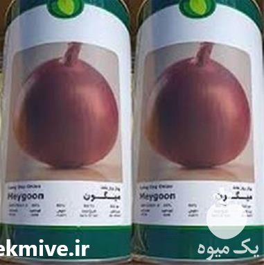 قیمت خرید بذر پیاز قرمز میگون فلات در تهران در گروه خرید فروش بذر - انواع محصول کشاورزی گوجه کتان میوه درخت در یکمیوه -عکس1