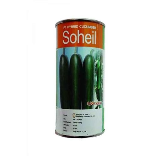 قیمت خرید بذر خیار سهیل soheil در بوشهر در گروه خرید فروش بذر - انواع محصول کشاورزی گوجه کتان میوه درخت در یکمیوه -عکس1