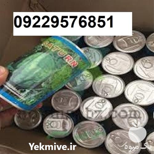 بذر هندوانه میکادو پرفروش با رشد روشی خوب در هرمز در گروه خرید فروش عمده هندوانه - صادراتی گرد بیضی زرد قرمز در یکمیوه -عکس1