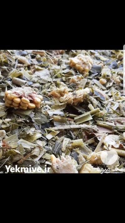 انواع خوراک دام در گروه خوراک دام و طیور - پرواری شیری علوفه یونجه در یکمیوه -عکس1