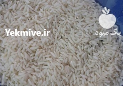 برنج فجر سوزنی در گروه خرید فروش عمده برنج - نیم دانه عنبر بو هاشمی کاظمی هندی پاکستانی در یکمیوه -عکس2