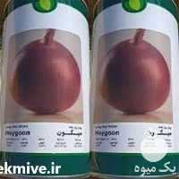 قیمت خرید بذر پیاز قرمز میگون فلات در تهران در گروه خرید فروش بذر - انواع محصول کشاورزی گوجه کتان میوه درخت در یکمیوه