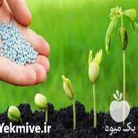 فروش کود کامل npk در گروه خرید فروش کود و مواد شیمیایی - اوره پتاس مرغی کمپوست آهن در یکمیوه