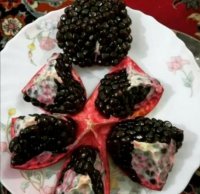 فروش نهال انار و انجیر تضمینی در داراب در گروه خرید فروش نهال - انواع گردو پسته بادام سلطانی انگور در یکمیوه