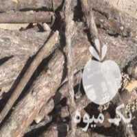 قیمت خرید چوب برای زغالی در اصفهان در گروه خرید فروش عمده چوب و زغال- زغال چوب گردو تبریزی خام در یکمیوه
