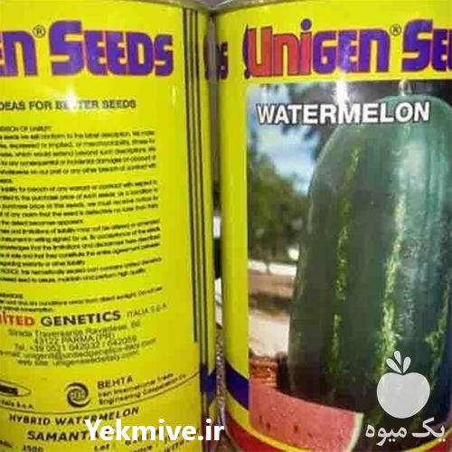 قیمت خرید بذر هندوانه یونی ژن اصل با نازلترین قیمت در بوشهر در گروه خرید فروش بذر - انواع محصول کشاورزی گوجه کتان میوه درخت در یکمیوه -عکس1