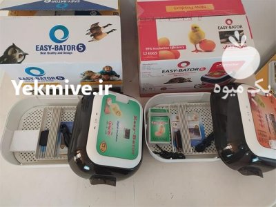 فروش انواع دستگاه جوجه کشی در گروه تجهیزات دام و طیور - خرید فروش نو دسته دوم در یکمیوه -عکس1