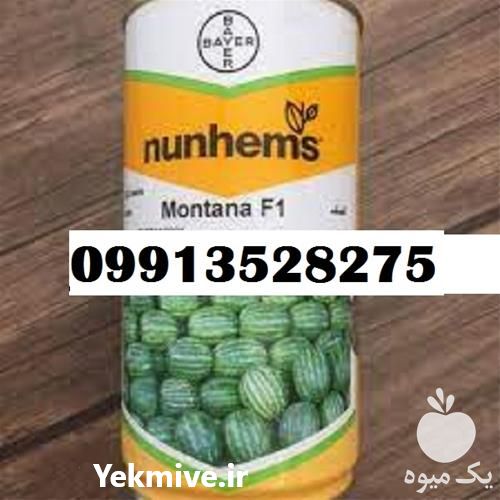 قیمت خرید بذر هندوانه مونتانا بذر خوب در کرمان  در گروه خرید فروش بذر - انواع محصول کشاورزی گوجه کتان میوه درخت در یکمیوه -عکس1