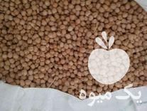 قیمت خرید نخود بذری دیم کرمانشاهی در گروه خرید فروش بذر - انواع محصول کشاورزی گوجه کتان میوه درخت در یکمیوه -عکس1