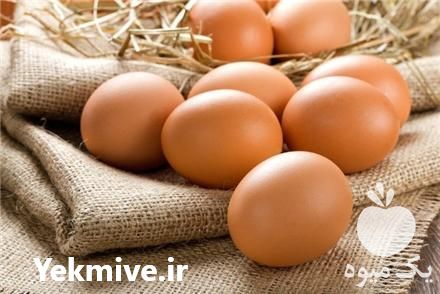 فروش تخم نطفه دار مرغ بومی در گروه انواع تخم ها - مرغ بوقلمون پرنده عمده کشاورزی در یکمیوه -عکس1