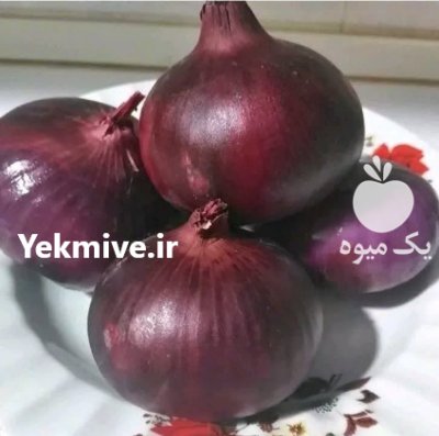 بذر پیاز قرمز اعلاء امسالی در کرج در گروه خرید فروش بذر - انواع محصول کشاورزی گوجه کتان میوه درخت در یکمیوه -عکس2