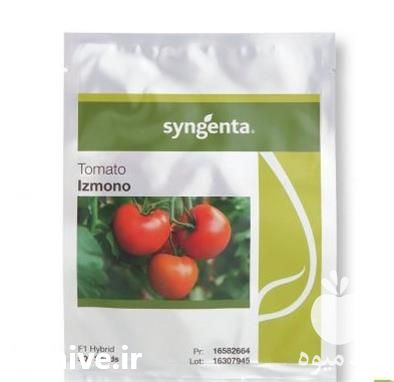 قیمت خرید توزیع بذر گوجه گلخانه ای ازمیر در کرمان  در گروه خرید فروش بذر - انواع محصول کشاورزی گوجه کتان میوه درخت در یکمیوه -عکس1