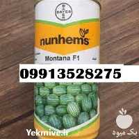 قیمت خرید بذر هندوانه مونتانا بذر خوب در کرمان  در گروه خرید فروش بذر - انواع محصول کشاورزی گوجه کتان میوه درخت در یکمیوه
